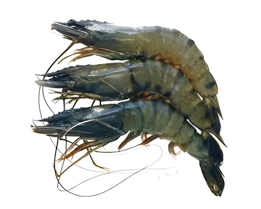 Golda Shrimp 1Kg 1 KG