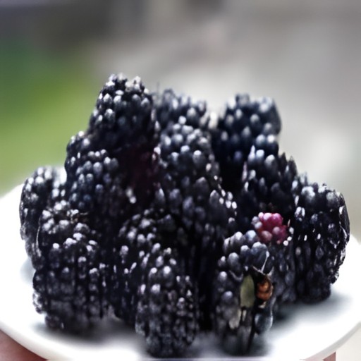 Black Berries