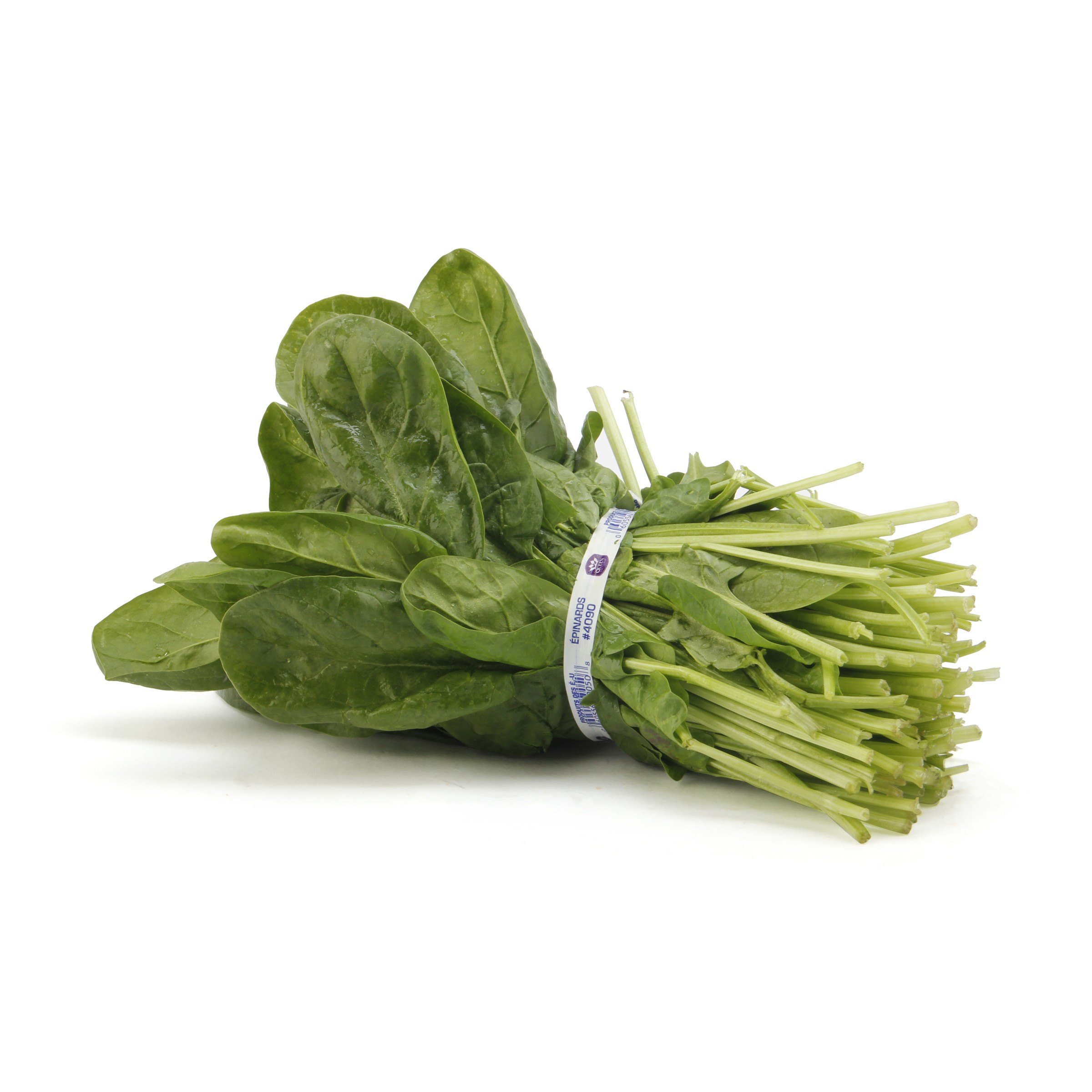 Green Chilli 1 LBS