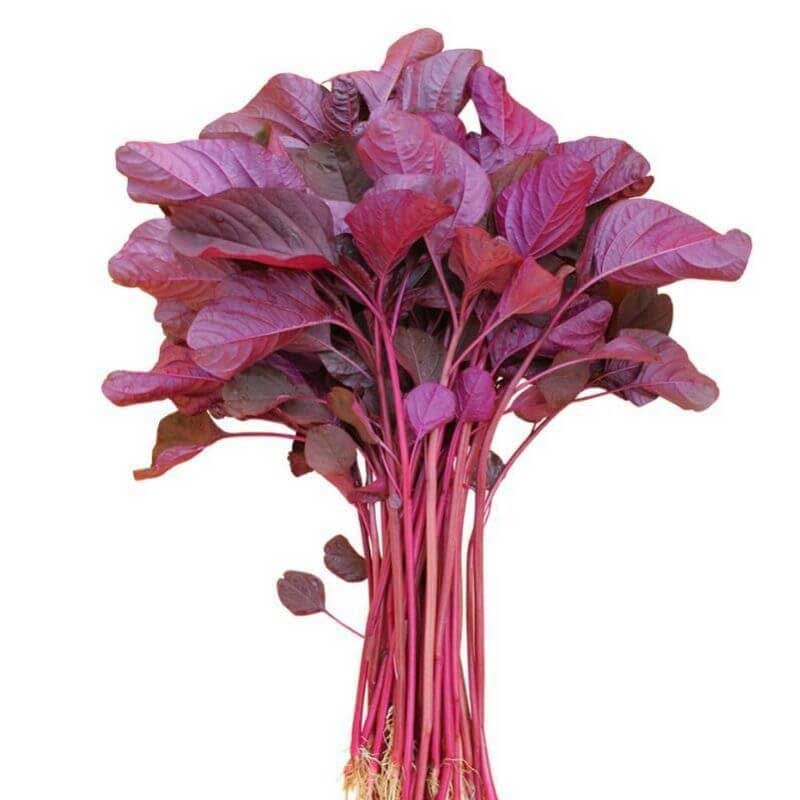 Laal Shak 1 BUNCH