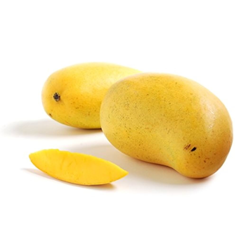 MANGO ATAULFO 18 CT 18 COUNT