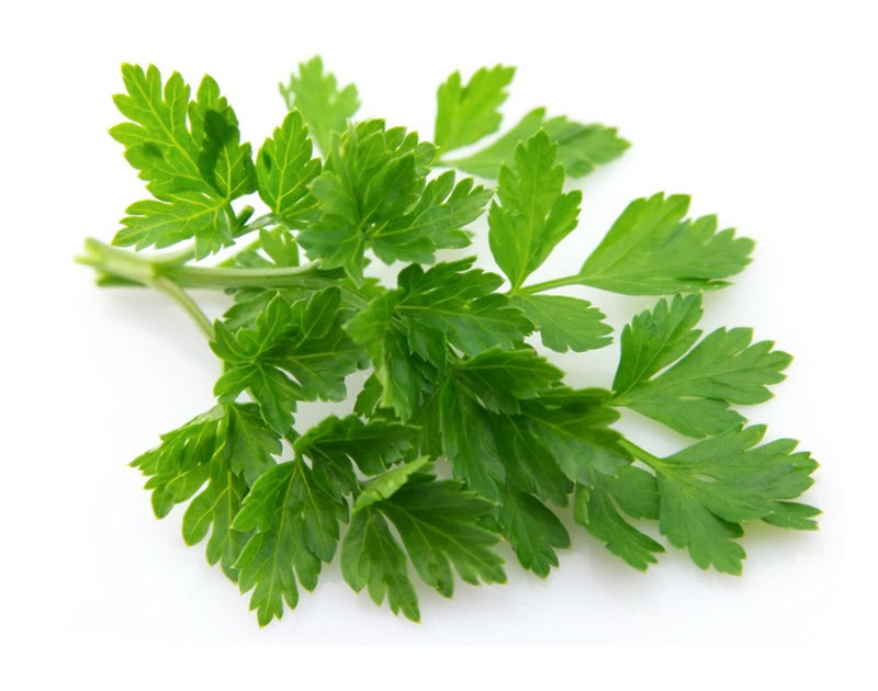 PARSLEY FLAT 1 LBS