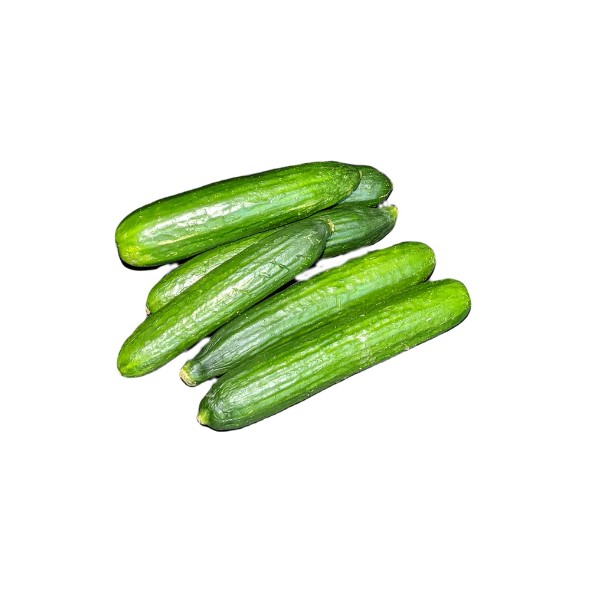 CUCUMBER INDIAN 1 LBS