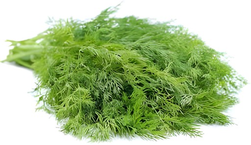 BABY DILL 1 LBS