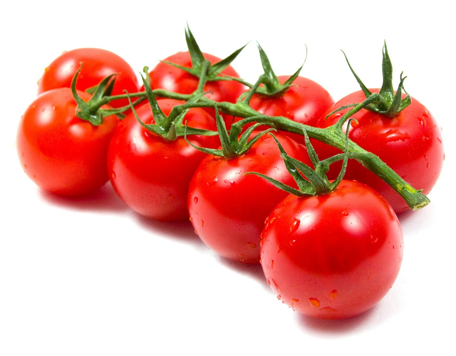 POTATO RED 1 LBS
