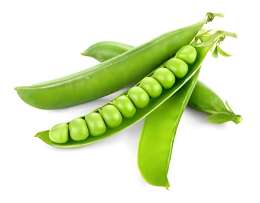 PEAS ENGLISH 1 LBS