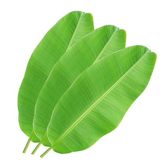 BANANA (LEAVES) 1 LBS