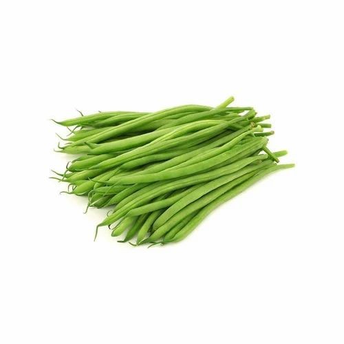 PAPADI VALOR 1 LBS