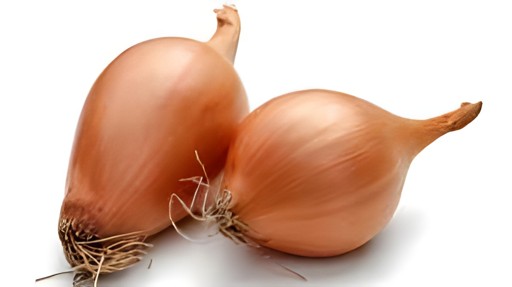 ONION SHALLOT 1 LBS