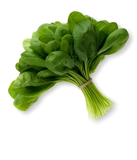 SPINICH 1 BUNCH