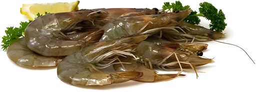 BANANA MANZANO 1 LBS