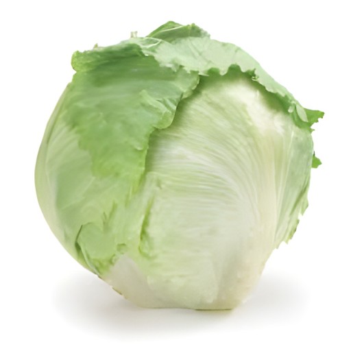 LETTUCE CELLO 1 LBS