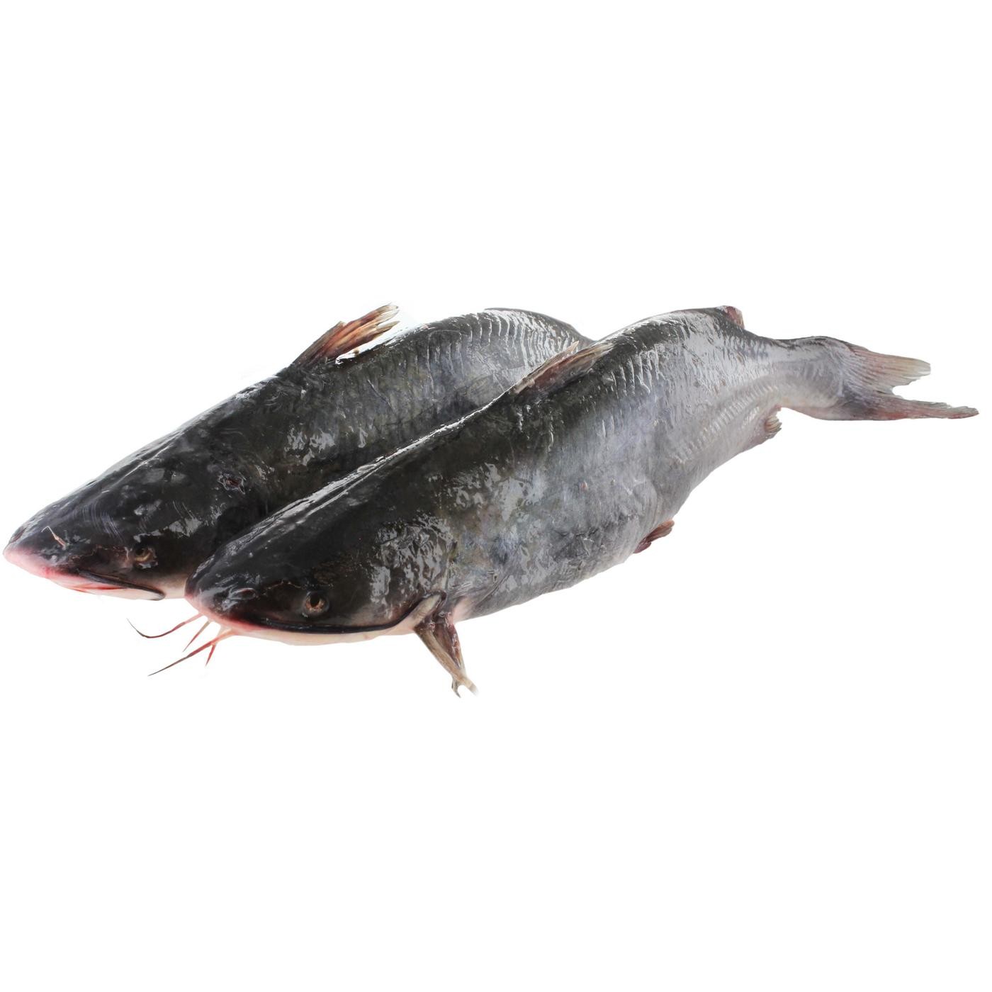Whole Catfish 4 LB