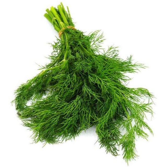 Dill Leaves 1 LBS