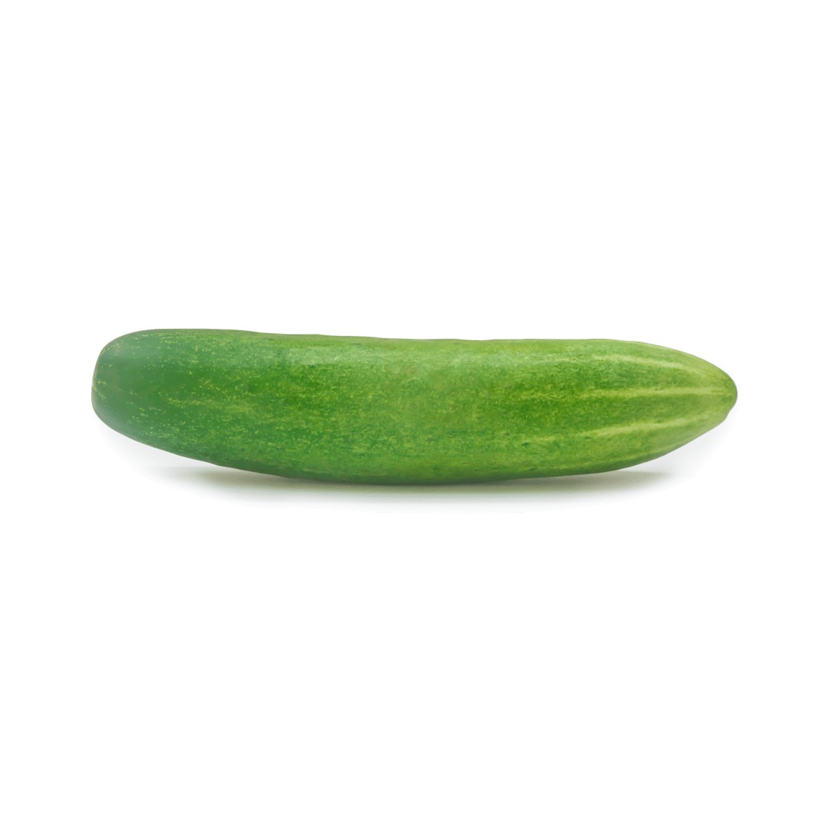 CUCUMBER SINGLE 1 LBS