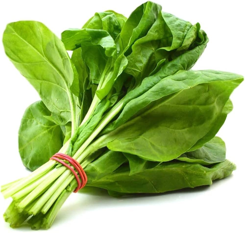 Spinach 1 BUNCH