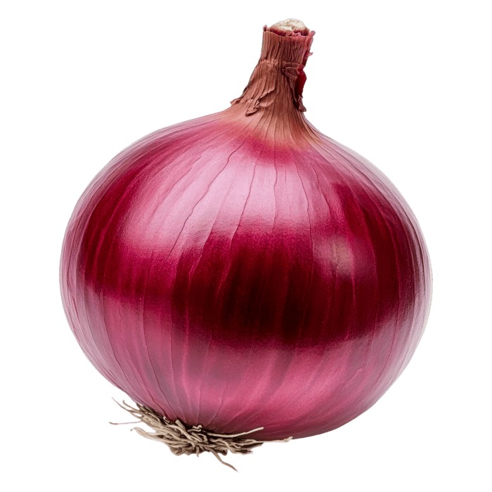 Onion Bag 10 Lb 10 LBS