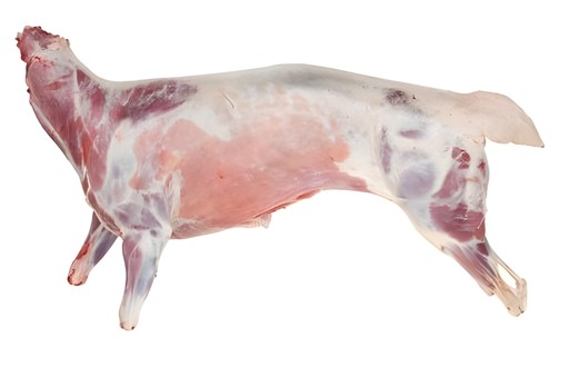 Baby Goat Whole 3 LB