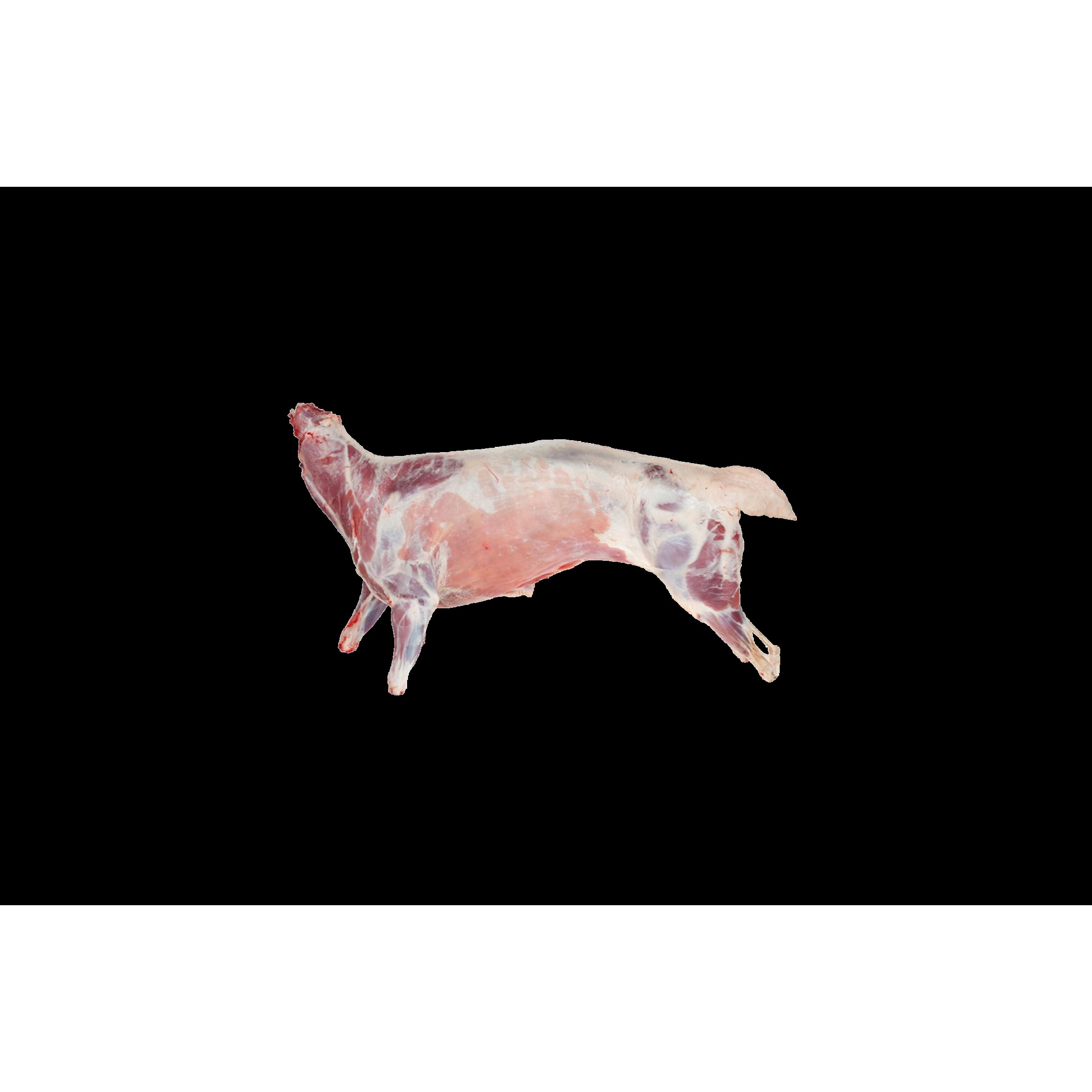 Goat Without Head, Liver 4 LB