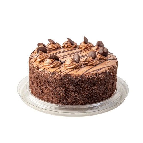 RICH'S CHOCOLATE SENSATION CAKE          1 OZ