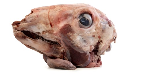 Lamb Head 3 LB