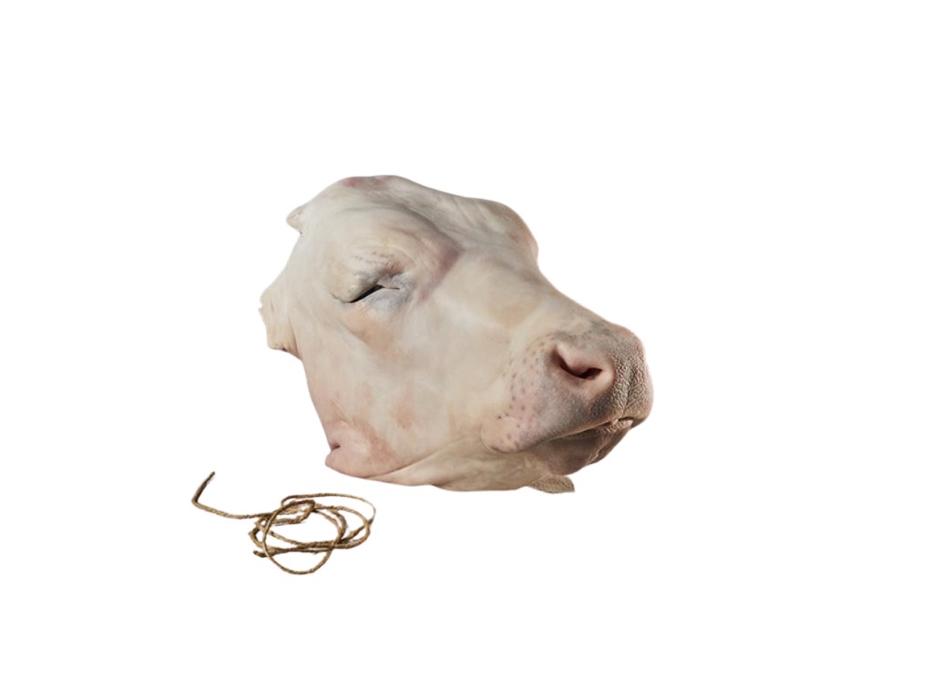 Veal Head 2 LB