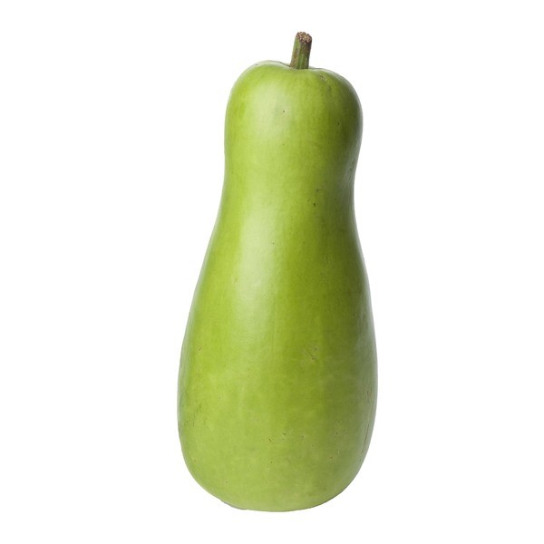 Opo Squash 1 LBS