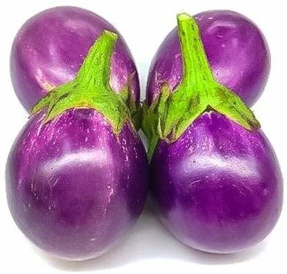Round Purple Eggplant 1 LBS