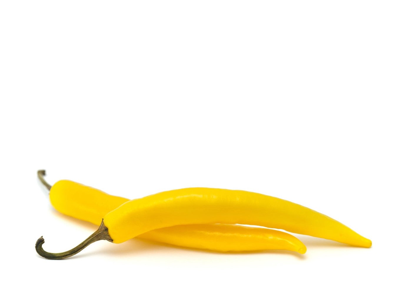 Chilli Yellow 1 LBS