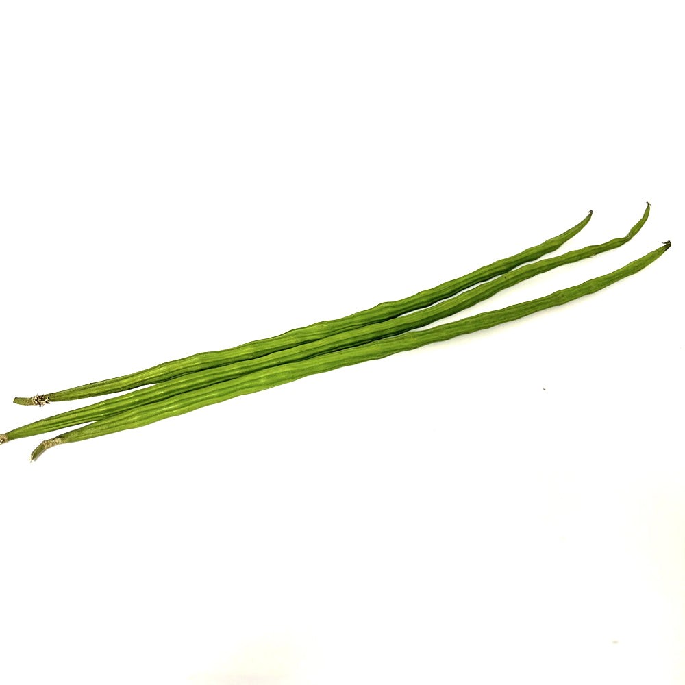 Fresh DrumSticks 1 LBS