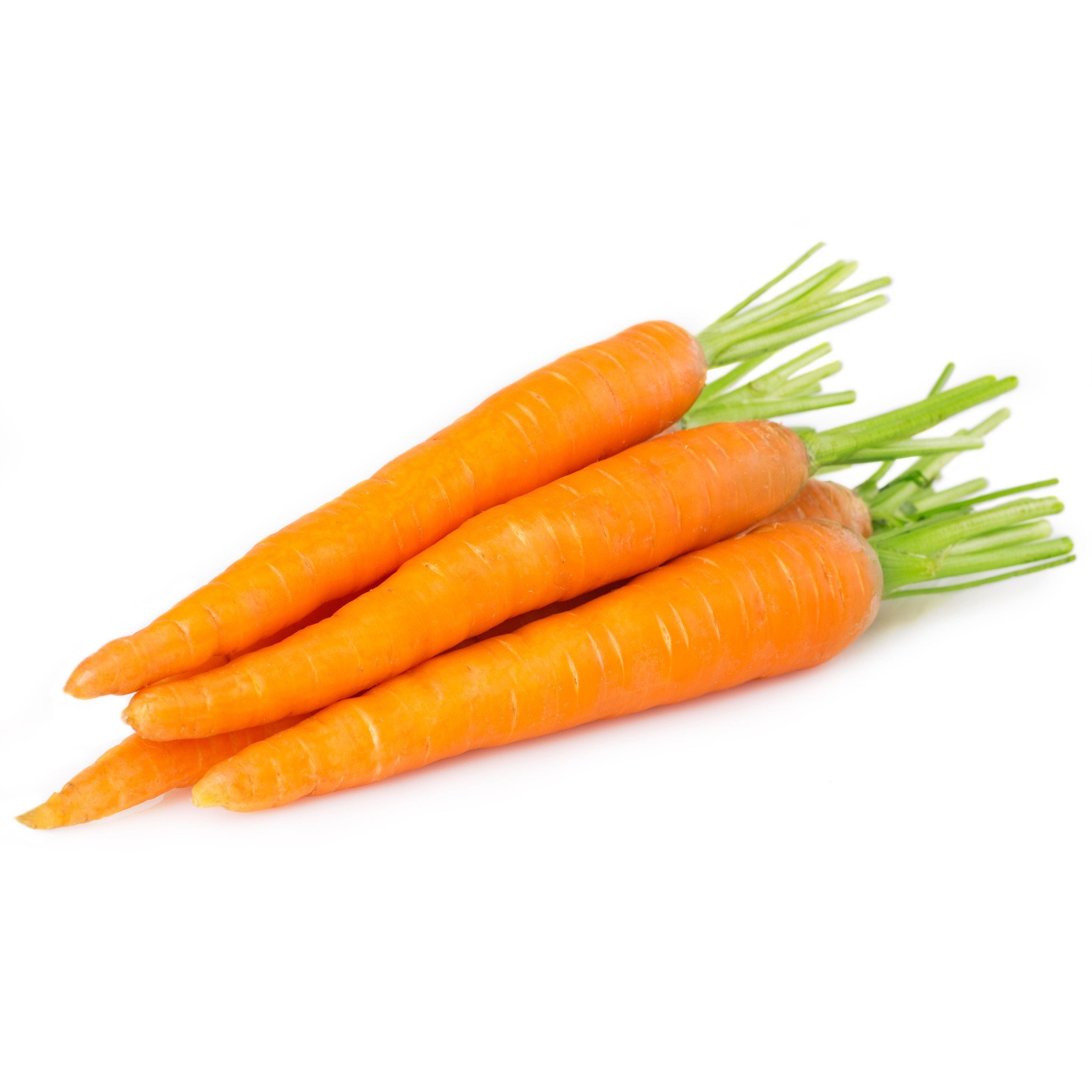 Carrot 1 LBS