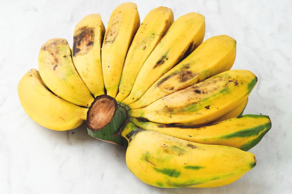 Banana Saba 1 PACK