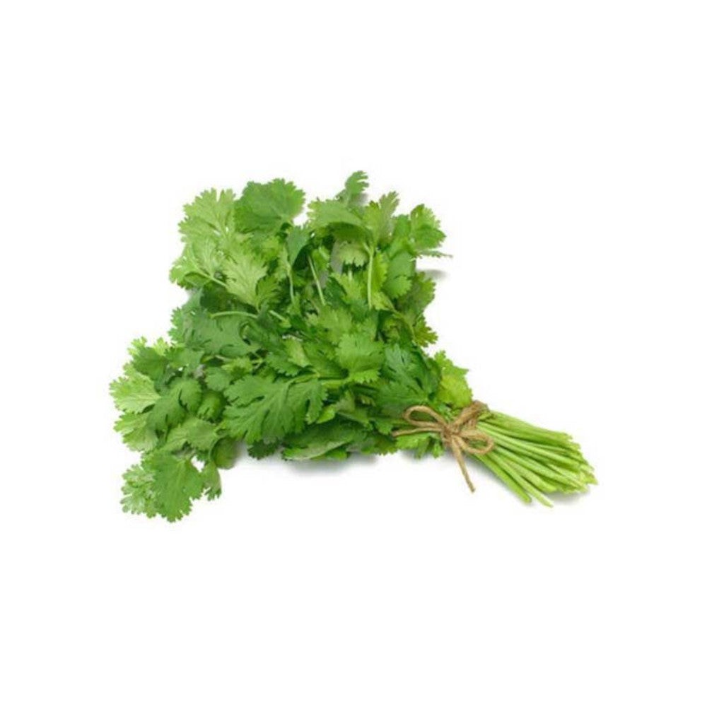 Cilantro 1 EACH