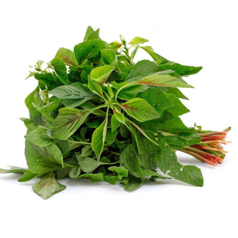 Red Thotakura (Red Amaranth) 1 PACK