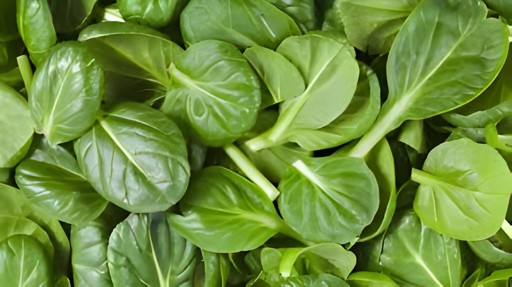 Pui Saag (Bachalikura) 1 PACK