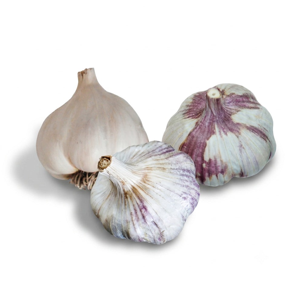 Garlic Bunch 1 PACK