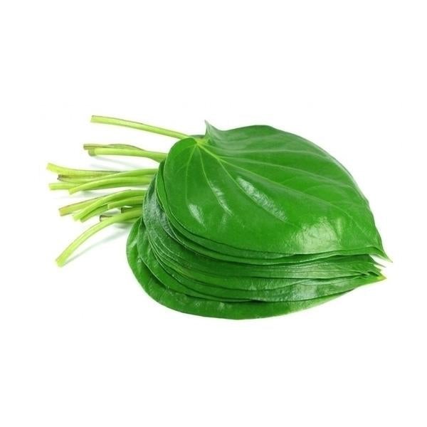 Pan Leaves 1 PACK