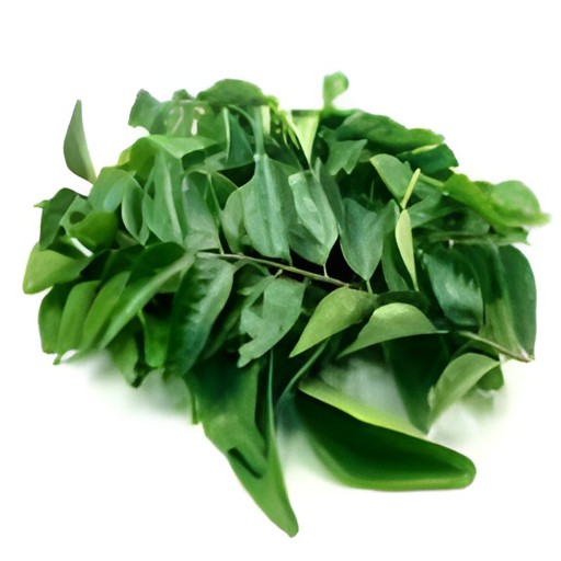 Curry Leaves 1 BUNCH