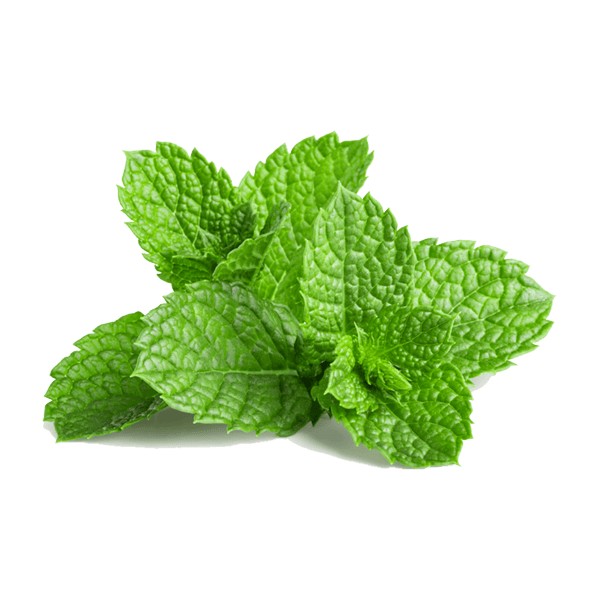 MINT 1 BUNCH