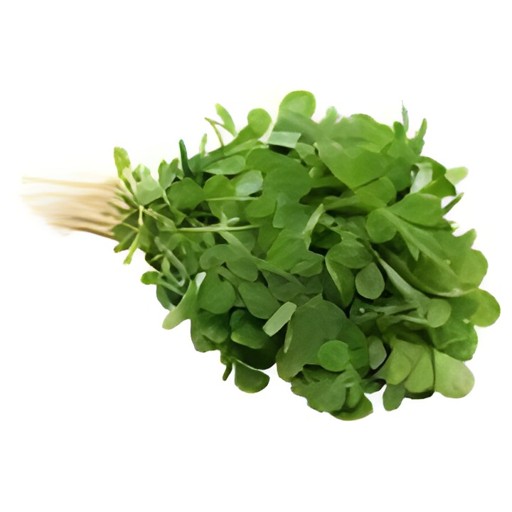 Methi Fresh 1 BUNCH