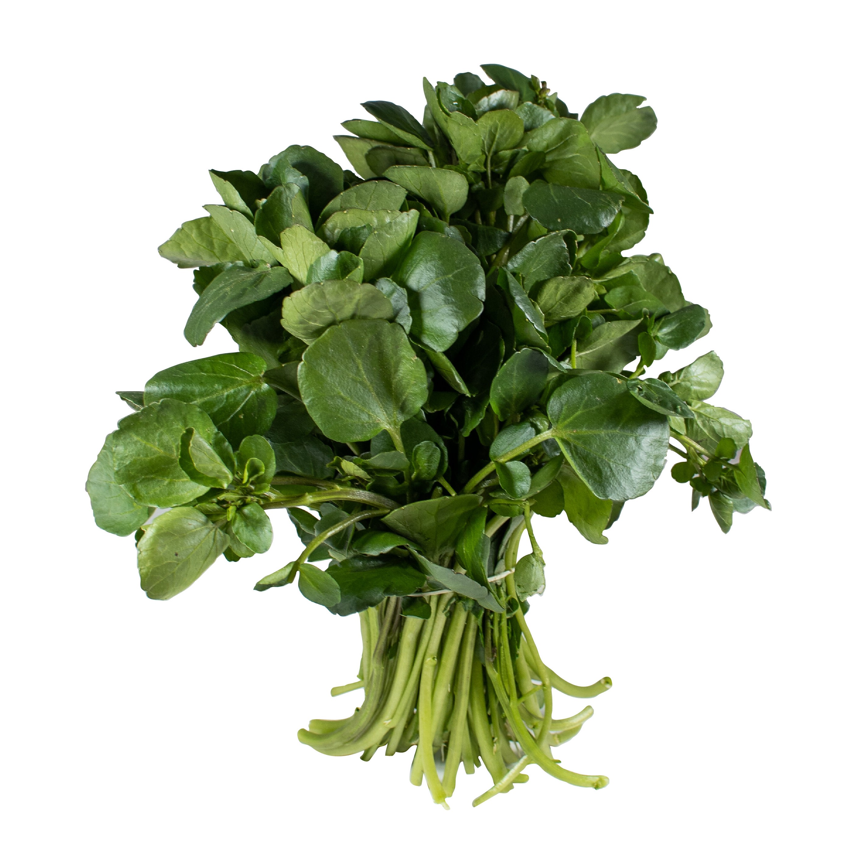 WaterCress Bunch  1 BUNCH