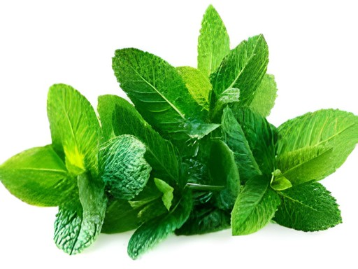 Mint  1 BUNCH