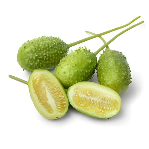 Kantola  1 LBS