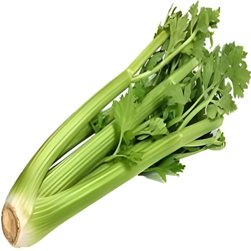 Celery 1 BUNCH