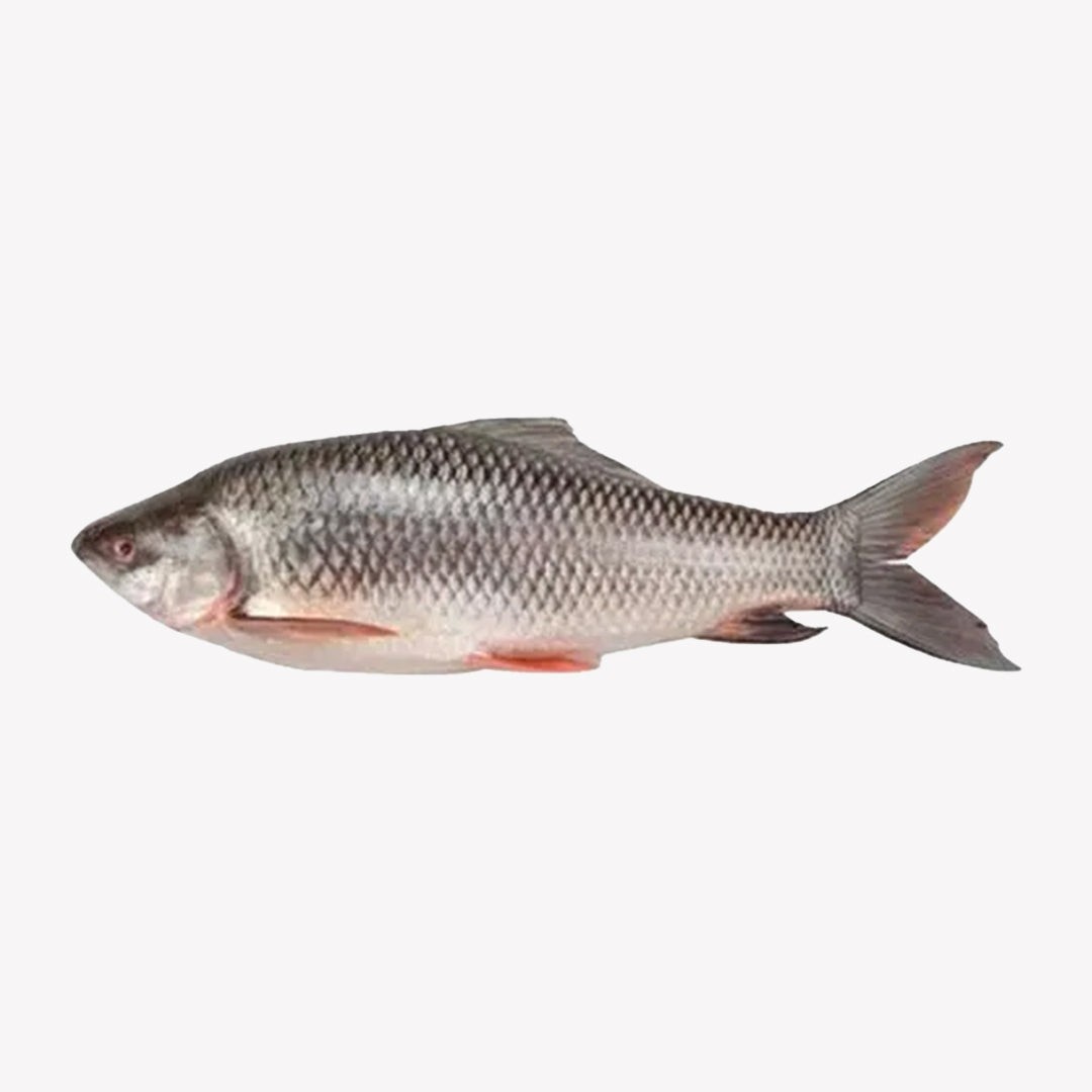 Rohu Whole 2 LB