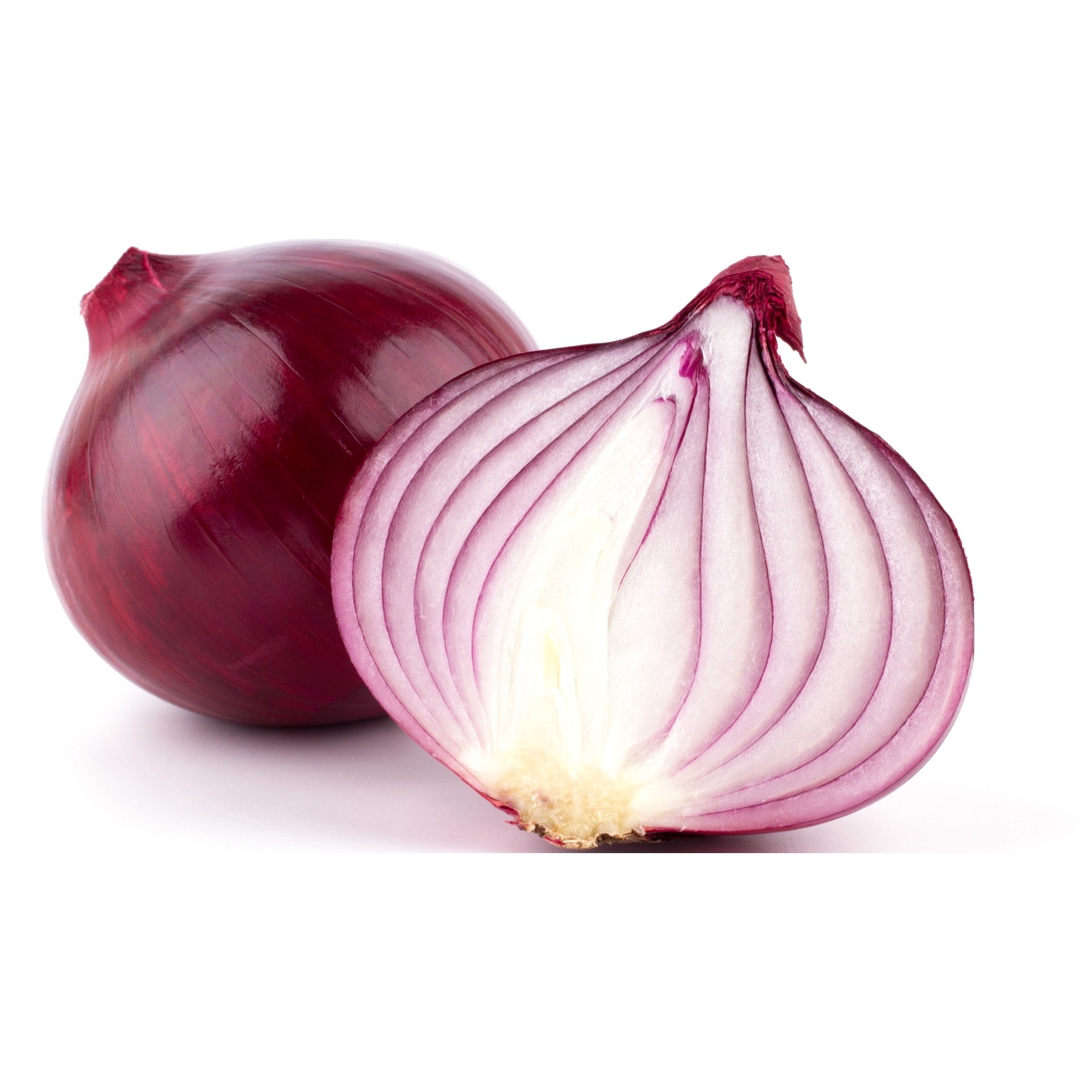 Onion 25 LBS