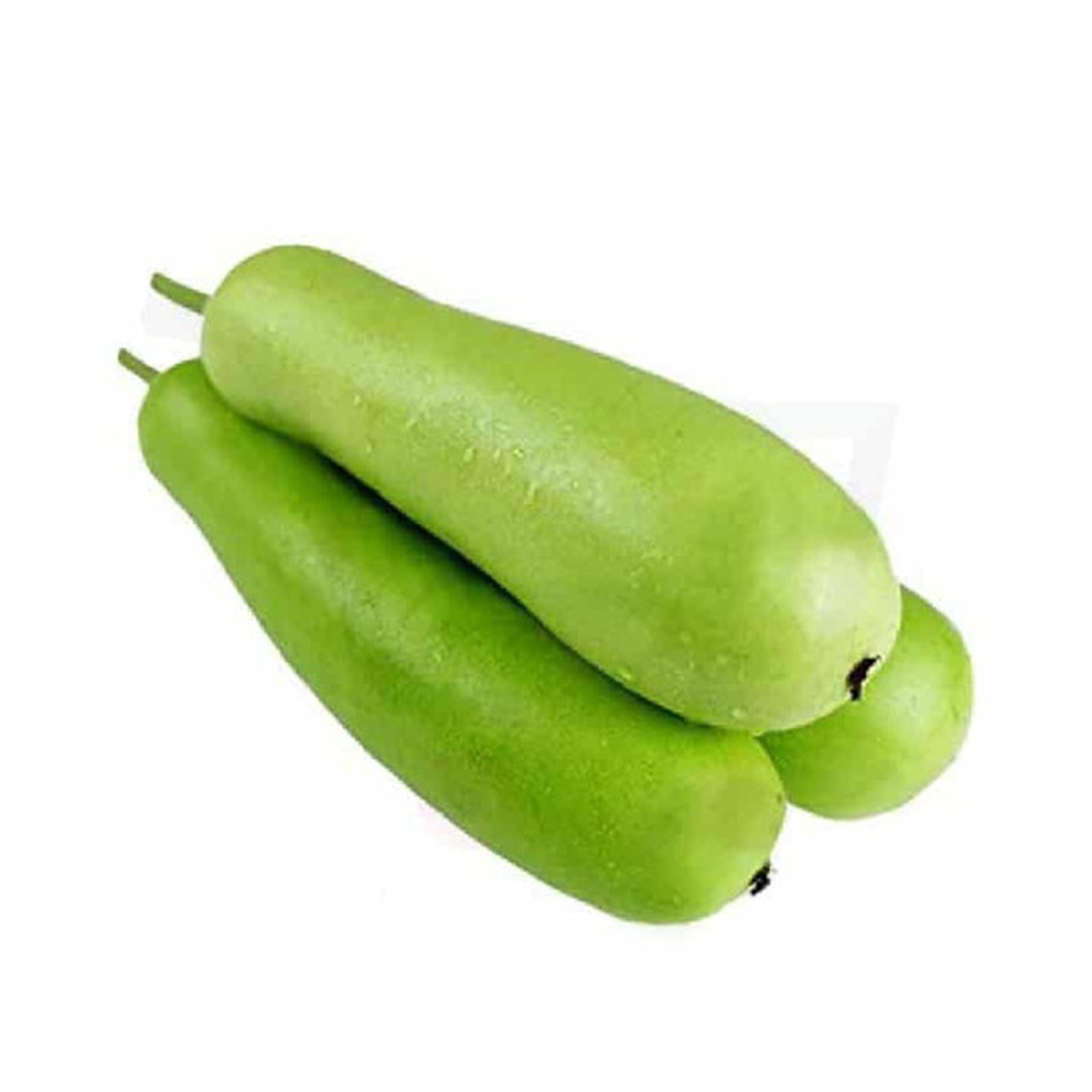 Kaddu 1 LBS