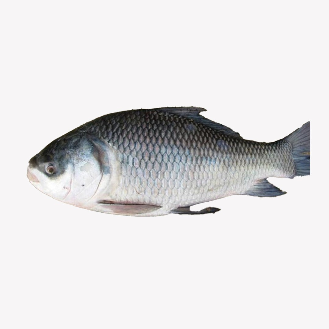 Katla Whole 2 LB