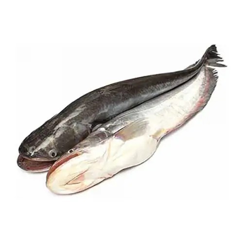 Boal Whole 2 LB