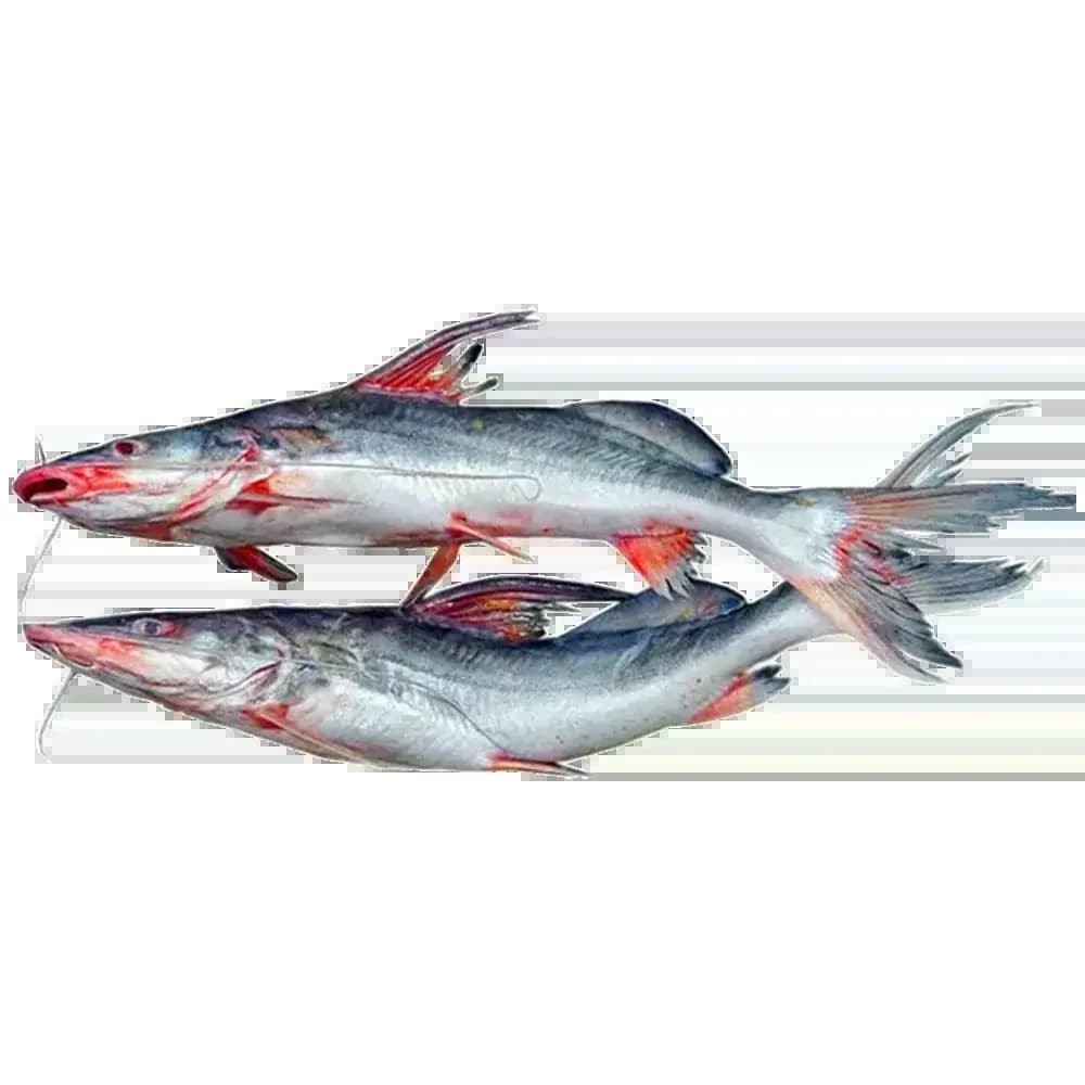 Ayre Whole 1 LB
